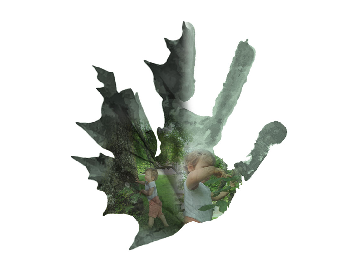 Memoire de recherche : La cour d'ecole comme lieu d'experience de nature ?